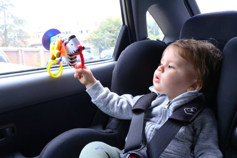 Speelgoed voor in de auto