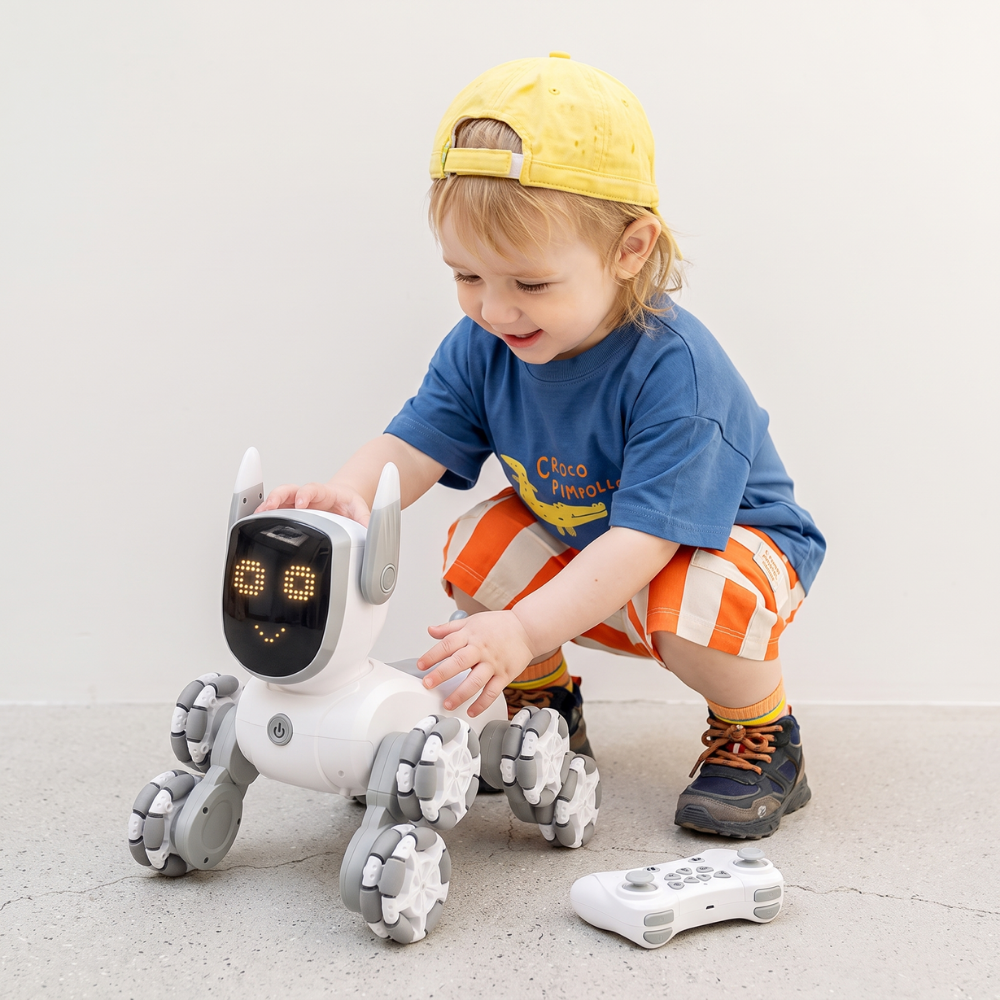 RoboPaws – Interactieve Robot Hond