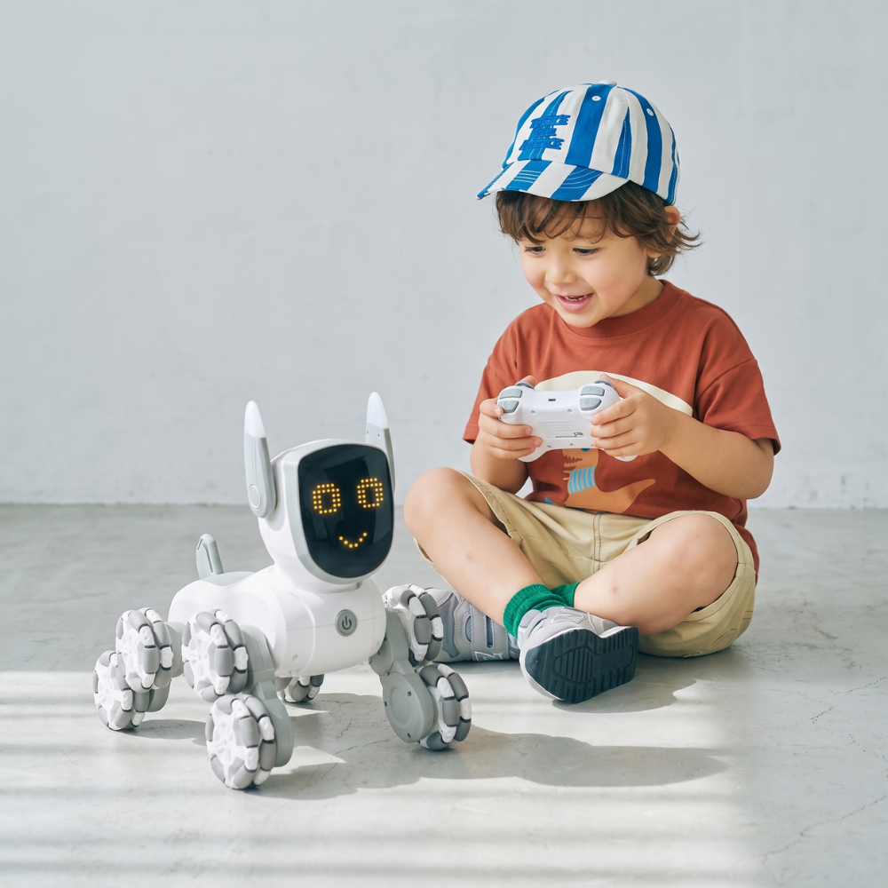 RoboPaws – Interactieve Robot Hond
