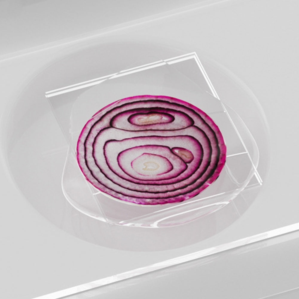 MicroExplore – Handmicroscoop voor Kinderen