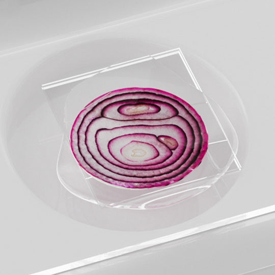 MicroExplore – Handmicroscoop voor Kinderen