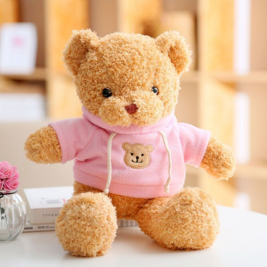 HoodieHug – Teddybeer Knuffel met Hoodie