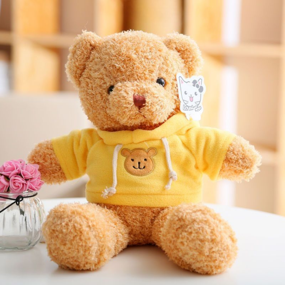 HoodieHug – Teddybeer Knuffel met Hoodie