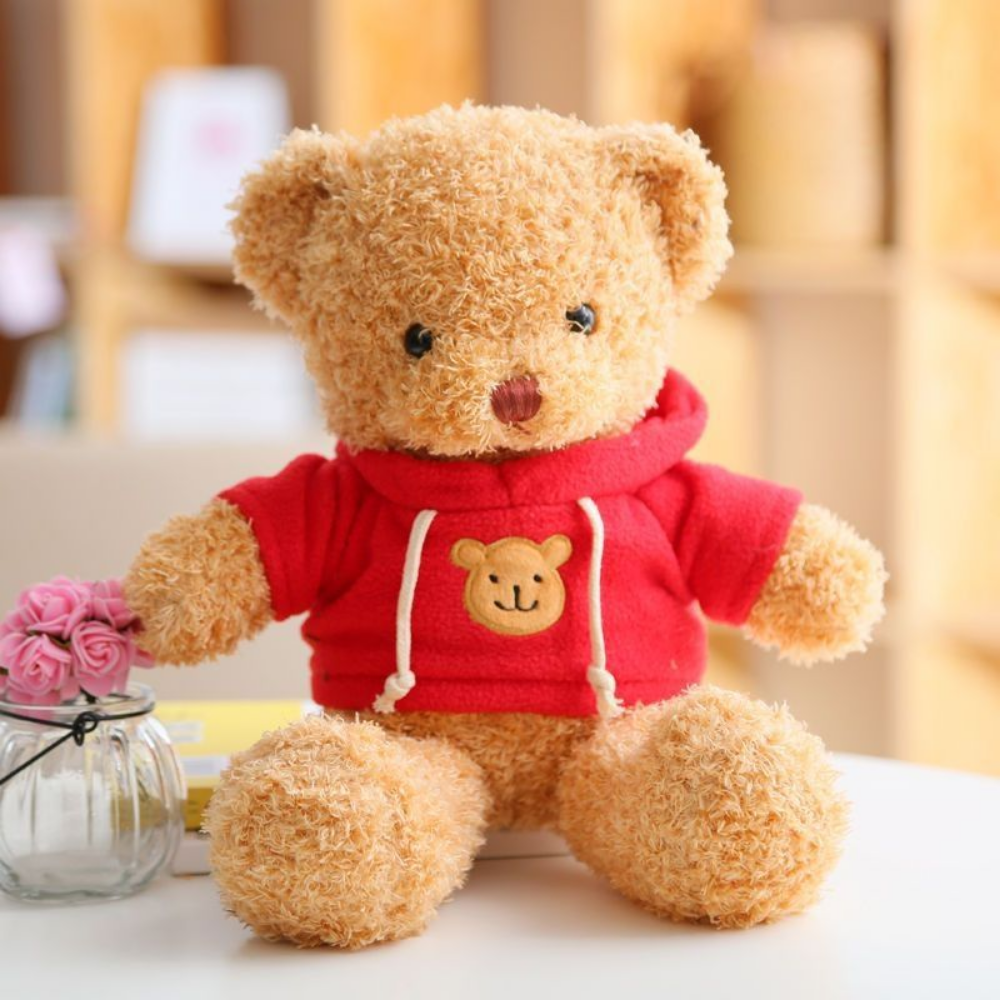 HoodieHug – Teddybeer Knuffel met Hoodie