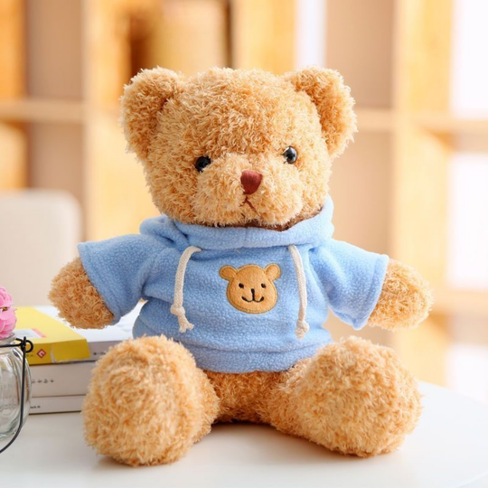 HoodieHug – Teddybeer Knuffel met Hoodie