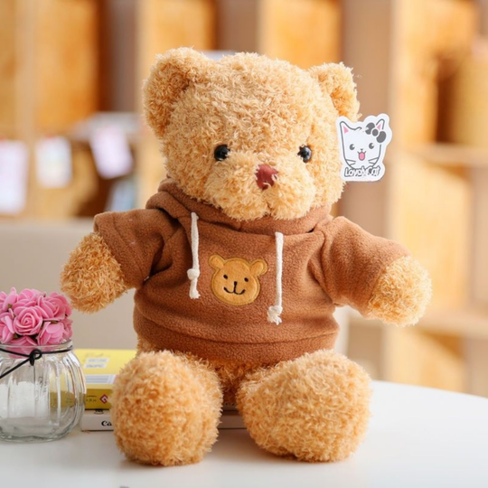 HoodieHug – Teddybeer Knuffel met Hoodie