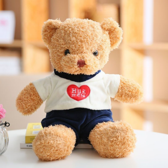 HoodieHug – Teddybeer Knuffel met Hoodie