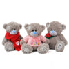 LoveBear – Grote Teddybeer met Trui