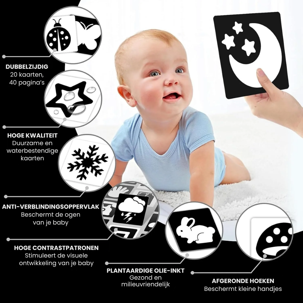 SmartCards – Baby Cognitie Kaartenboek met Dieren en Natuur