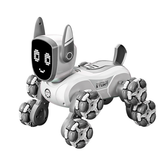 RoboPaws – Interactieve Robot Hond