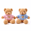 HoodieHug – Teddybeer Knuffel met Hoodie