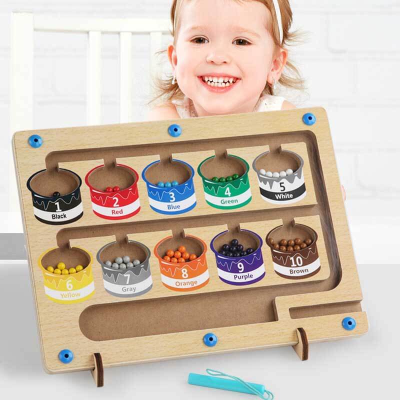 BrainBoost™ - Montessori Color Maze 