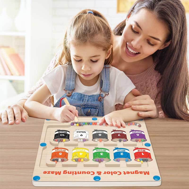 BrainBoost™ - Montessori Color Maze 