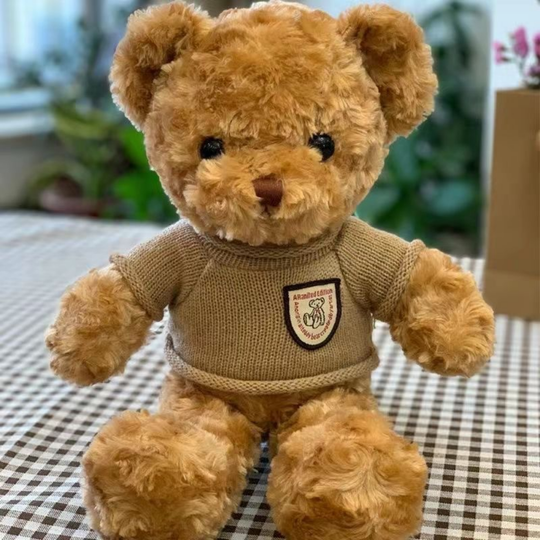 HoodieHug – Teddybeer Knuffel met Hoodie
