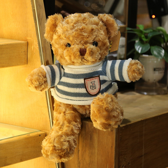 HoodieHug – Teddybeer Knuffel met Hoodie
