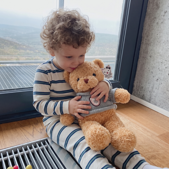 HoodieHug – Teddybeer Knuffel met Hoodie