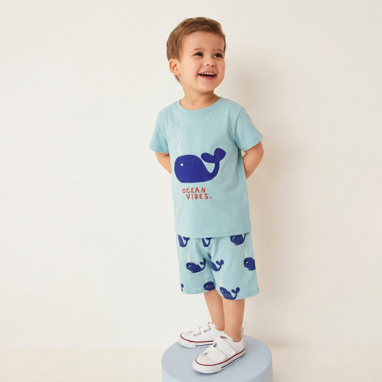Stefan – Walvis Zomerset