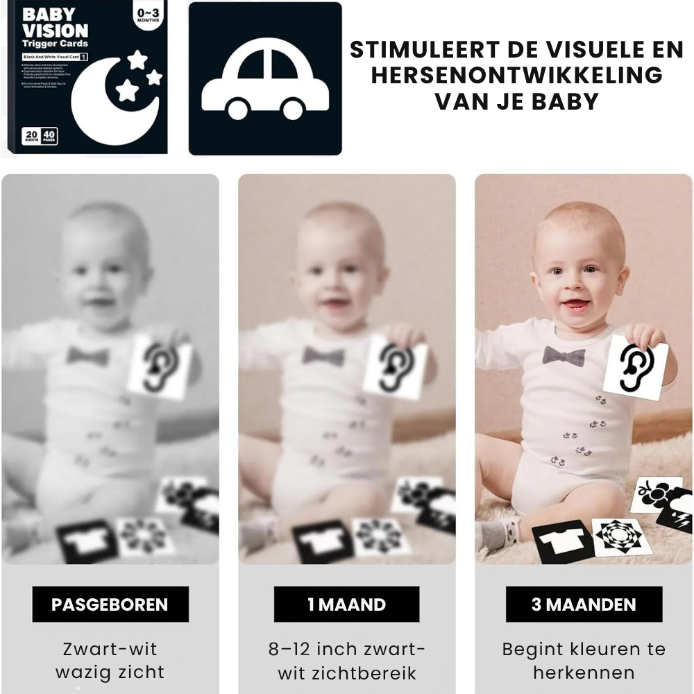 SmartCards – Baby Cognitie Kaartenboek met Dieren en Natuur