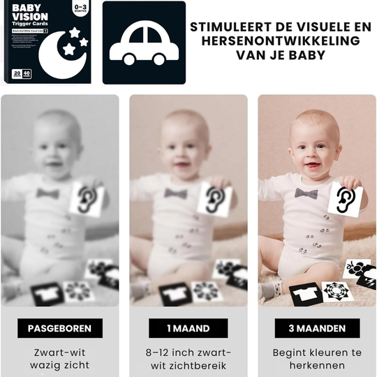 SmartCards – Baby Cognitie Kaartenboek met Dieren en Natuur