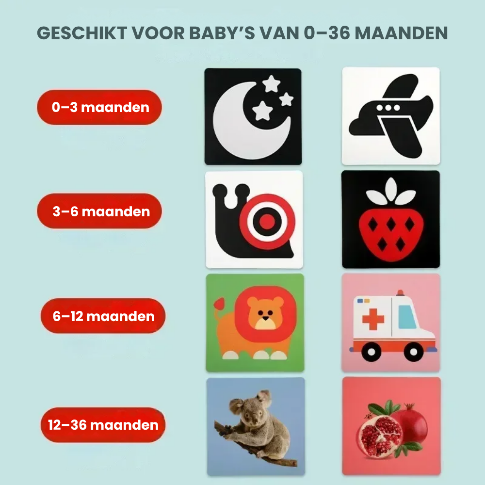 SmartCards – Baby Cognitie Kaartenboek met Dieren en Natuur