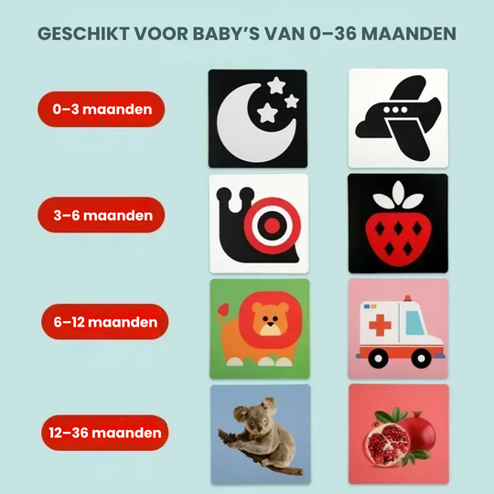 SmartCards – Baby Cognitie Kaartenboek met Dieren en Natuur