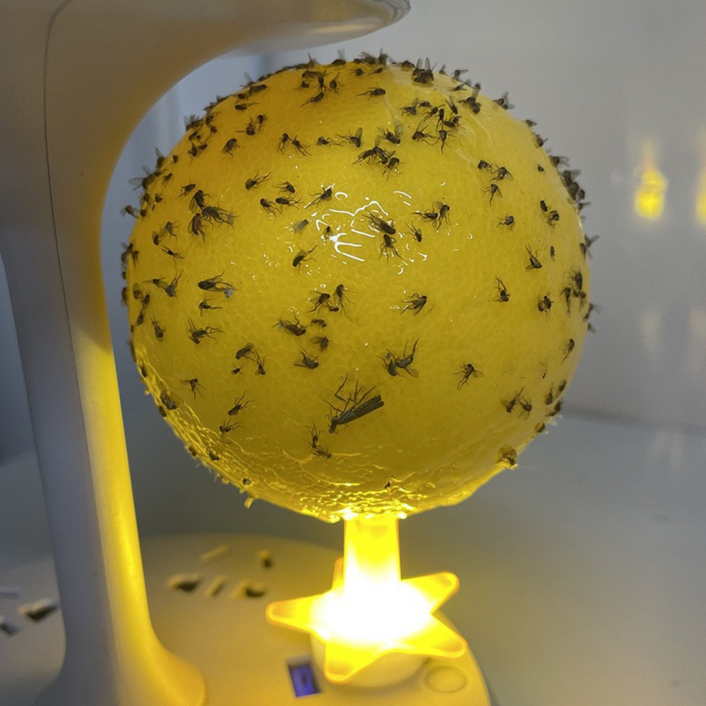 GlowTrap – Lijmval voor Fruitvliegjes