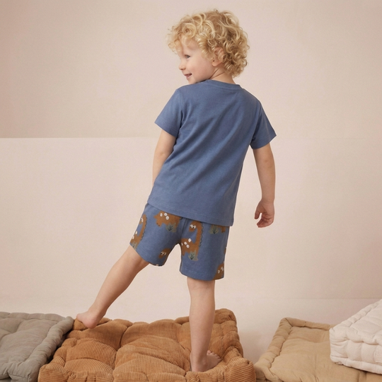 Adrian – Triceratops Zomerset