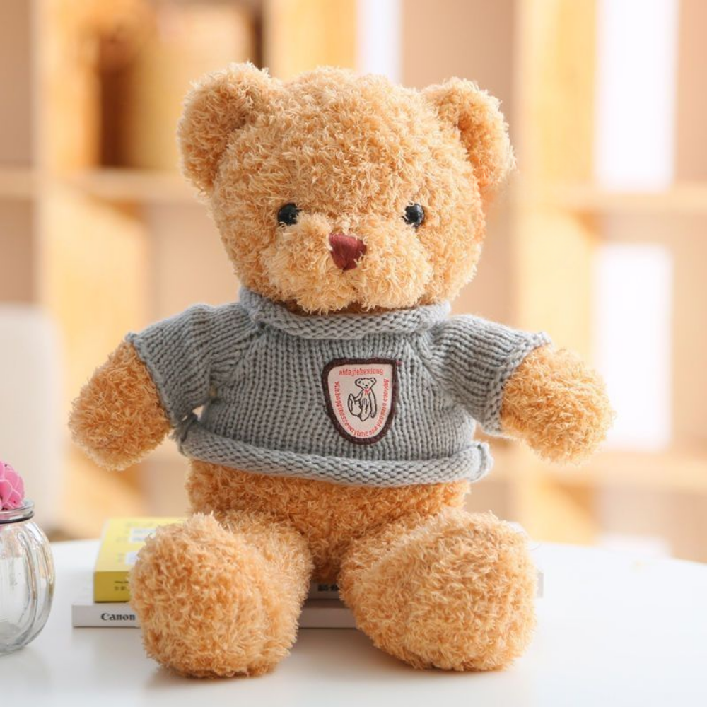 HoodieHug – Teddybeer Knuffel met Hoodie