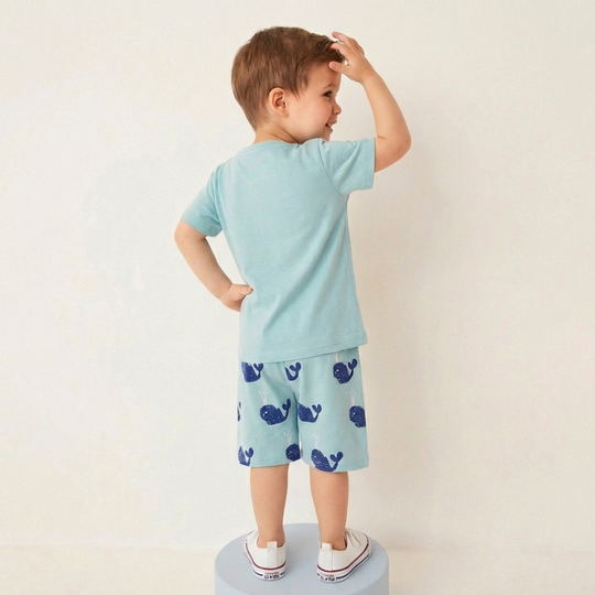Stefan – Walvis Zomerset