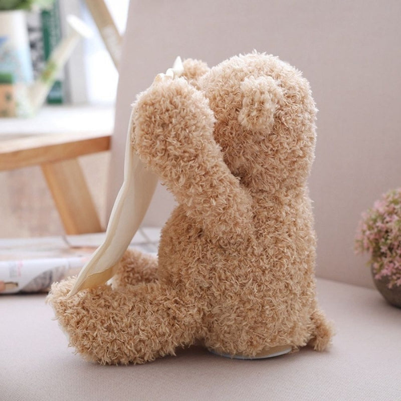CuddlePeek™ -  Peek-a-Boo Teddybeer