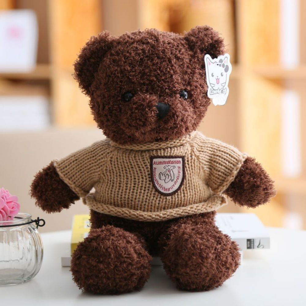 HoodieHug – Teddybeer Knuffel met Hoodie