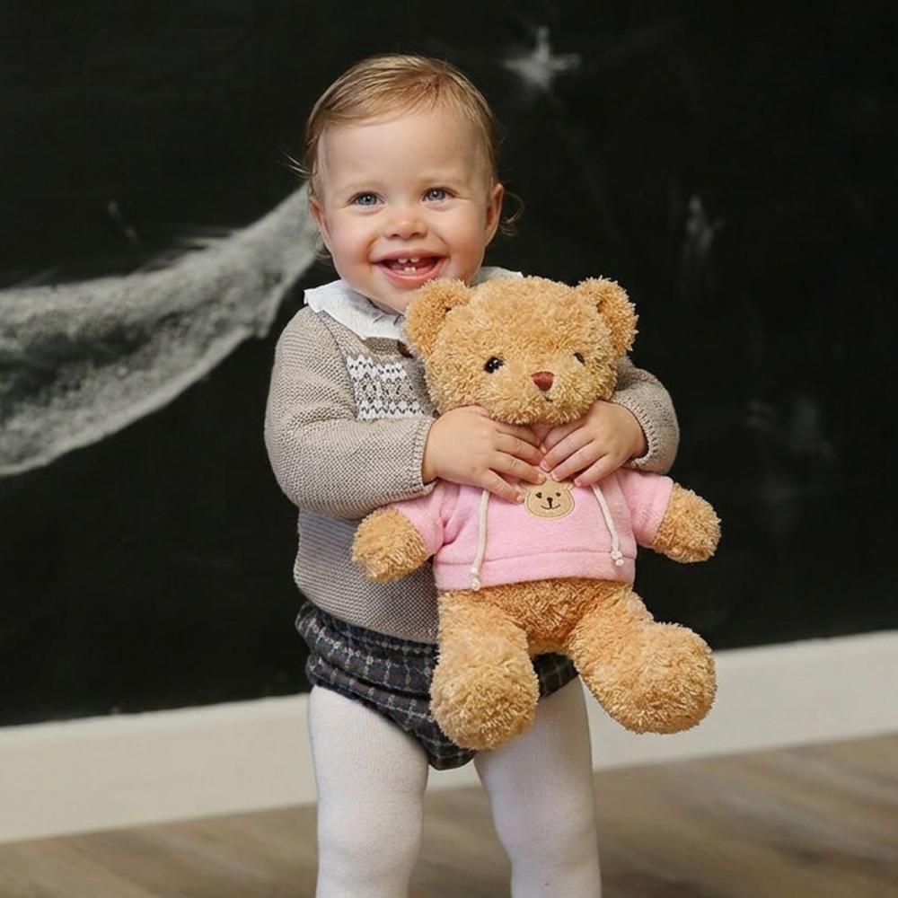 HoodieHug – Teddybeer Knuffel met Hoodie