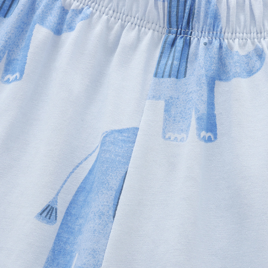 Roman – Olifanten Zomerset