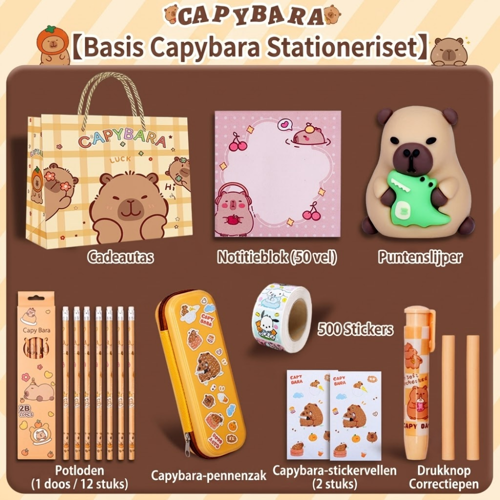 StudyJoy – Complete Schoolspullen Cadeauset