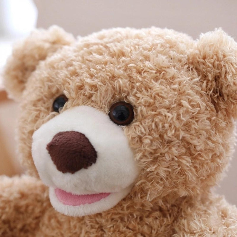 CuddlePeek™ -  Peek-a-Boo Teddybeer