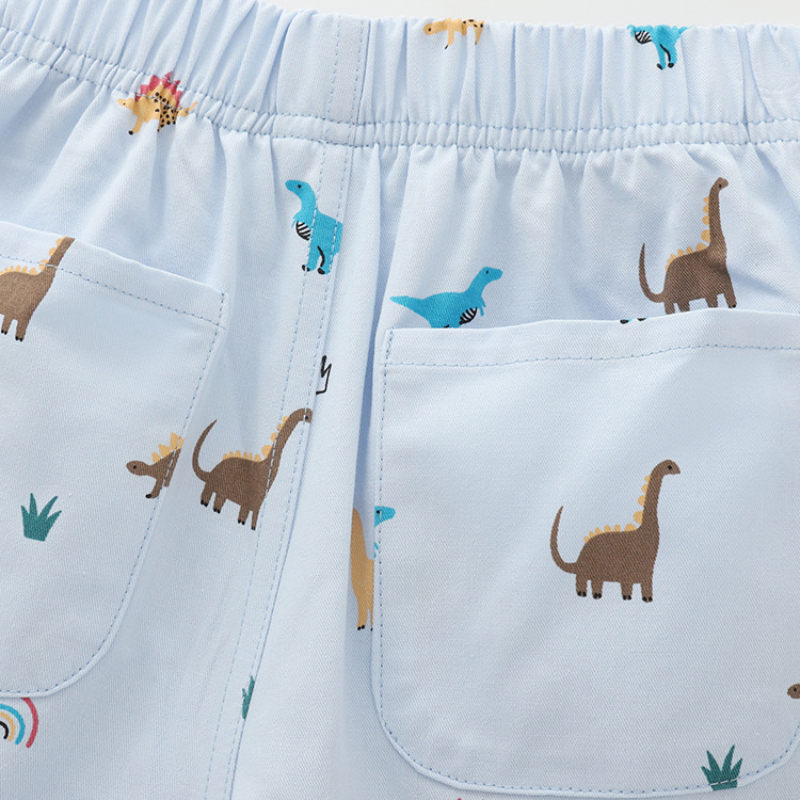 Ivan – Dino Print Broekjes