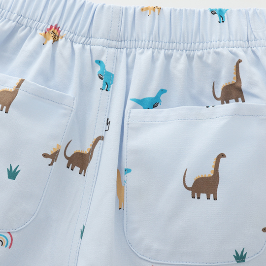 Ivan – Dino Print Broekjes