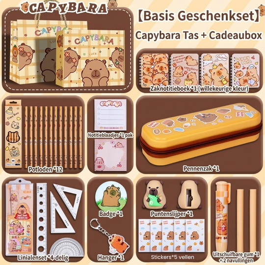 StudyJoy – Complete Schoolspullen Cadeauset