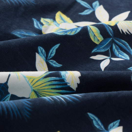 Casper – Tropische Zomerset