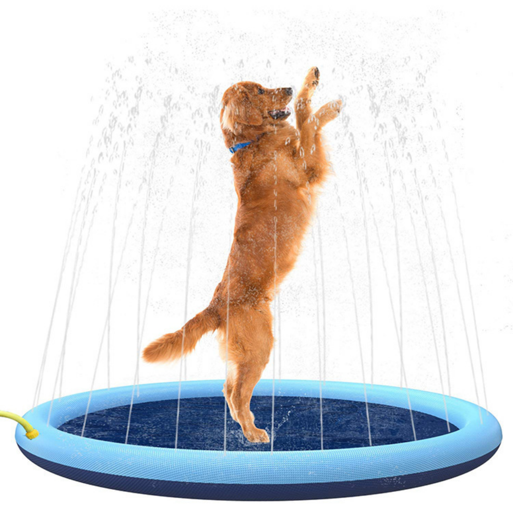SplashPaws – Opblaasbare Sproeimat voor Kinderen en Honden