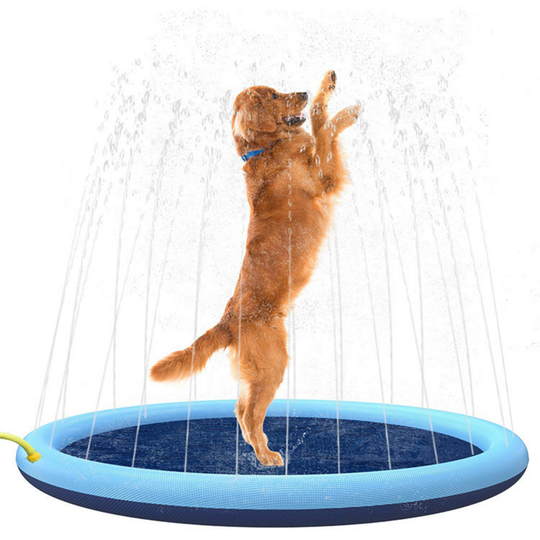 SplashPaws – Opblaasbare Sproeimat voor Kinderen en Honden