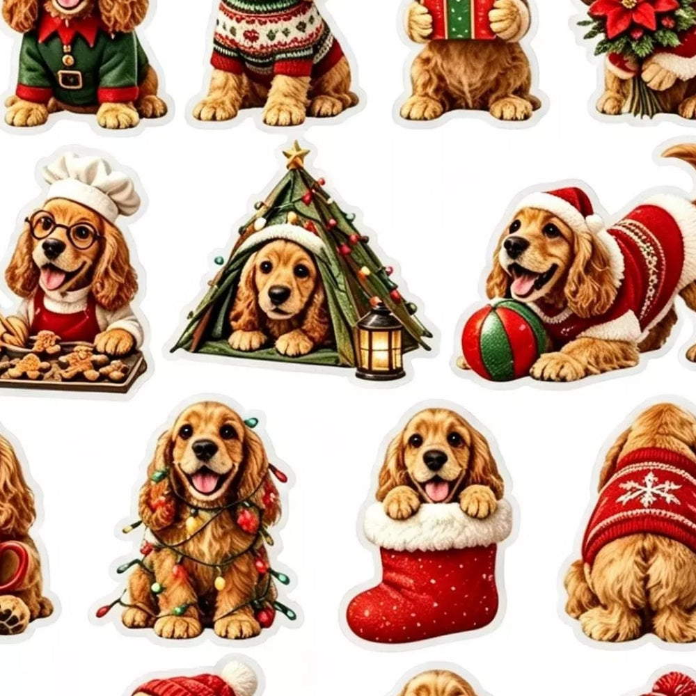 SpanielGarden – Spaniel Adventskalender