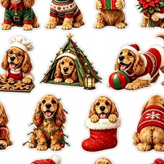 SpanielGarden – Spaniel Adventskalender