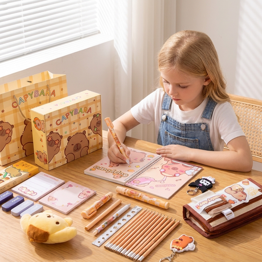 StudyJoy – Complete Schoolspullen Cadeauset