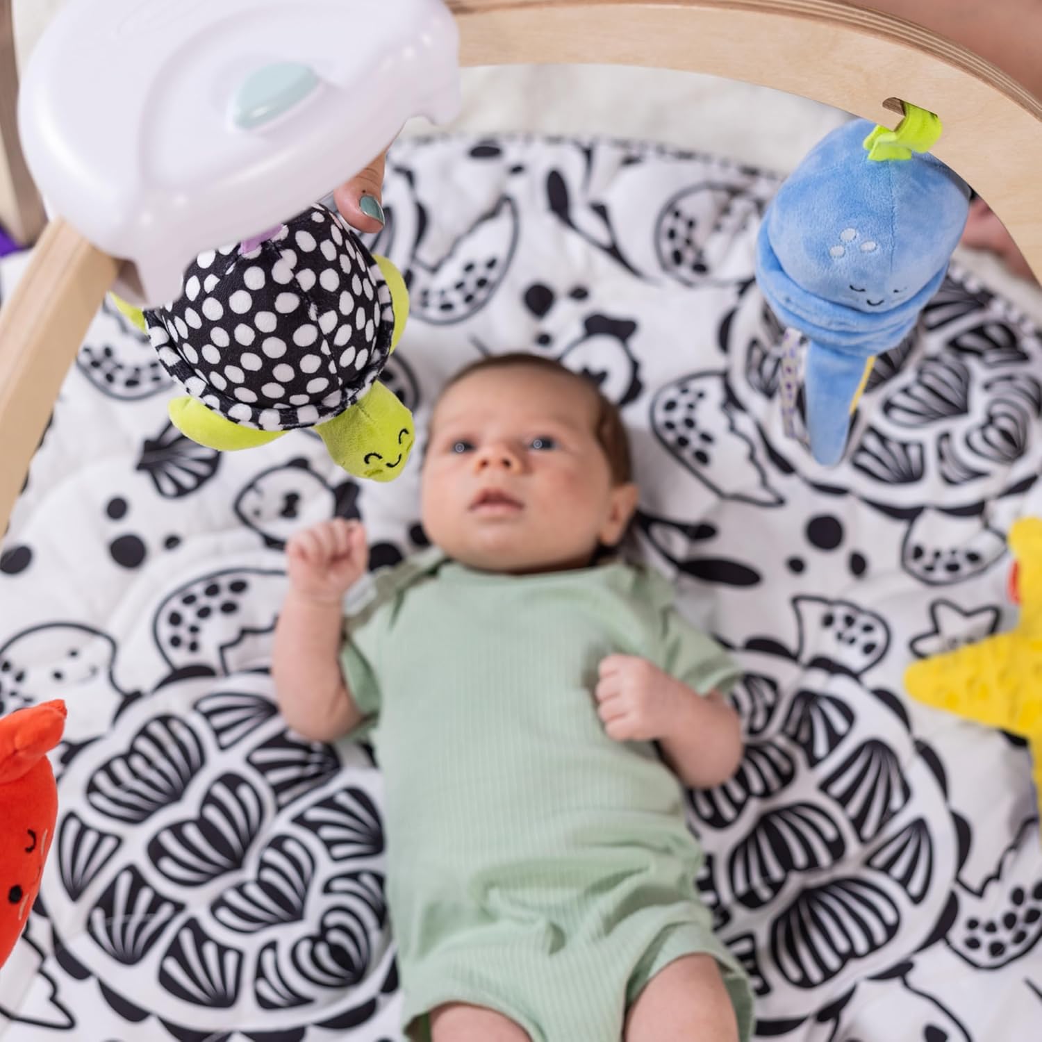 OceanPlay™ - Træbabygym med pædagogisk legemåtte 