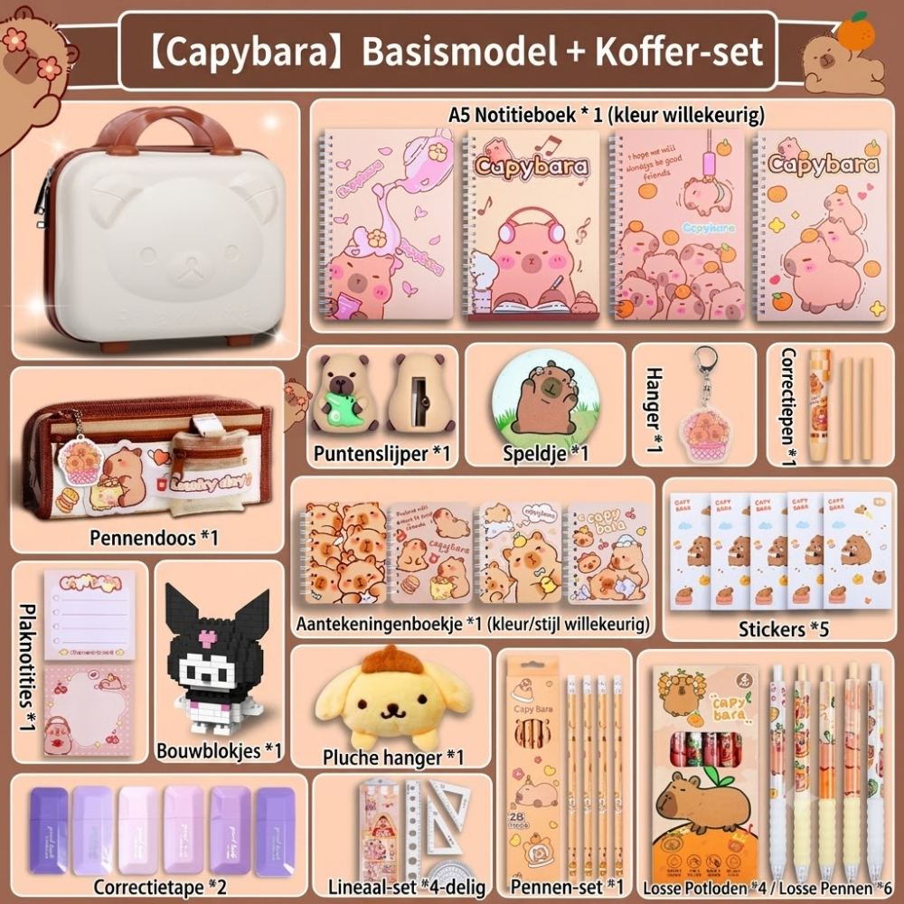 StudyJoy – Complete Schoolspullen Cadeauset
