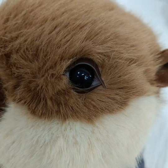 <font dir="auto" style="vertical-align: inherit;"><font dir="auto" style="vertical-align: inherit;">Vente en gros transfrontalière de peluches de marmottes déguisées en mendiants tendance, poupées pour enfants, cadeaux d'anniversaire</font></font>