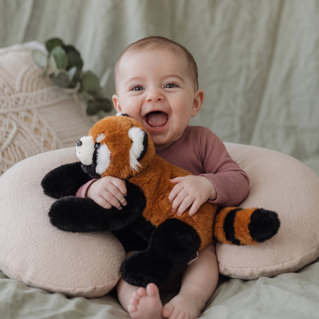 WildCuddle – Dierenknuffel en Slaapkussen