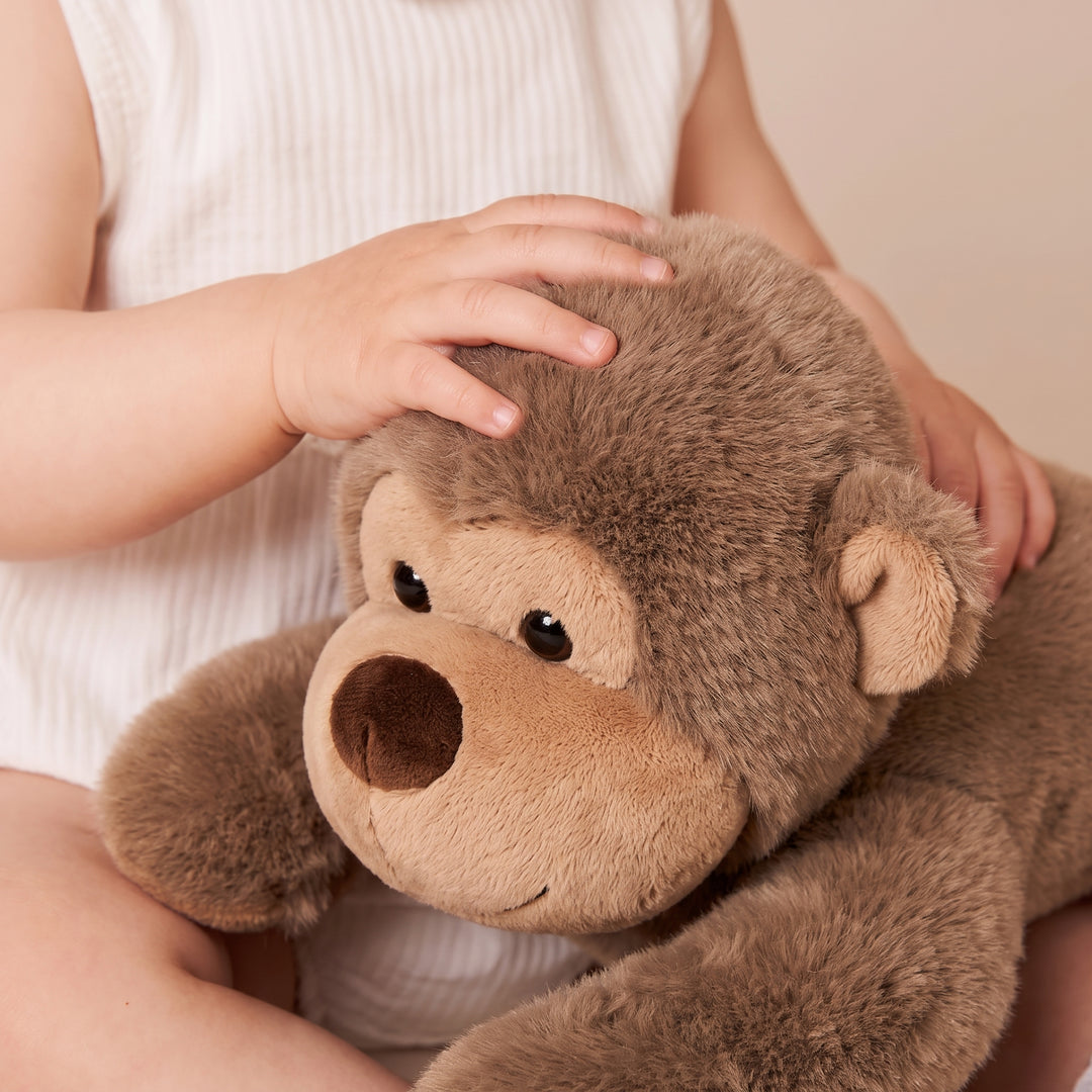 SleepySloth – Luiaard Knuffel en Kinderkussen
