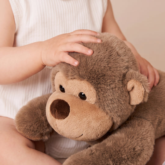 SleepySloth – Luiaard Knuffel en Kinderkussen